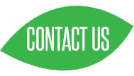 Contact SchoolSeed